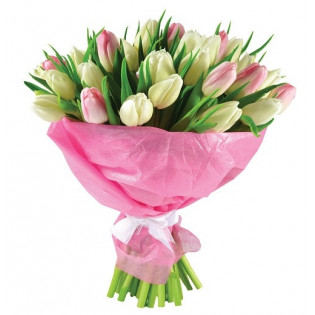 Bukiet 30 tulipanów